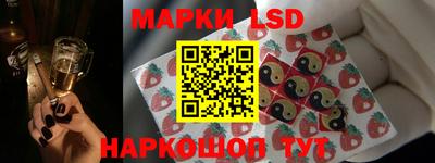 гидропоника Тверь