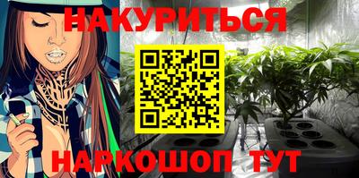 шишки Тулун