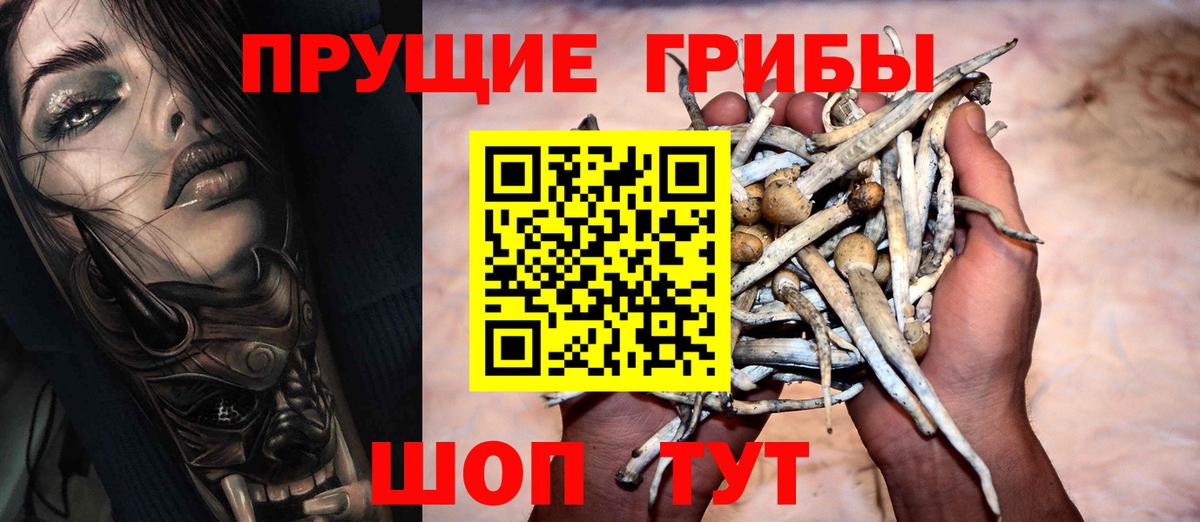 Галлюциногенные грибы Psilocybine cubensis Новотроицк