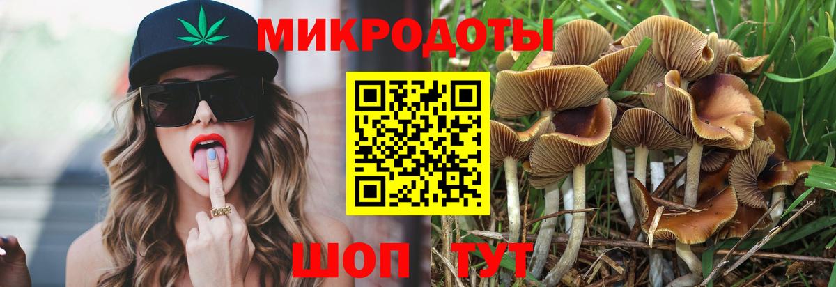 Новотроицк  Псилоцибиновые грибы Cubensis  Вход с VPN  Галлюциногенные грибы ЛСД 